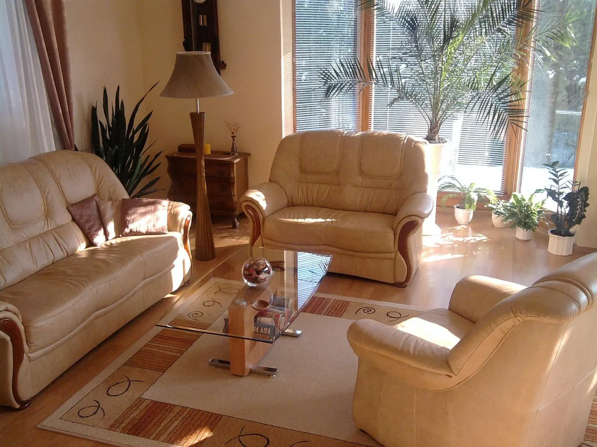 Do You Need Planning Permission for a Garden Room? A UK Rules Explainer