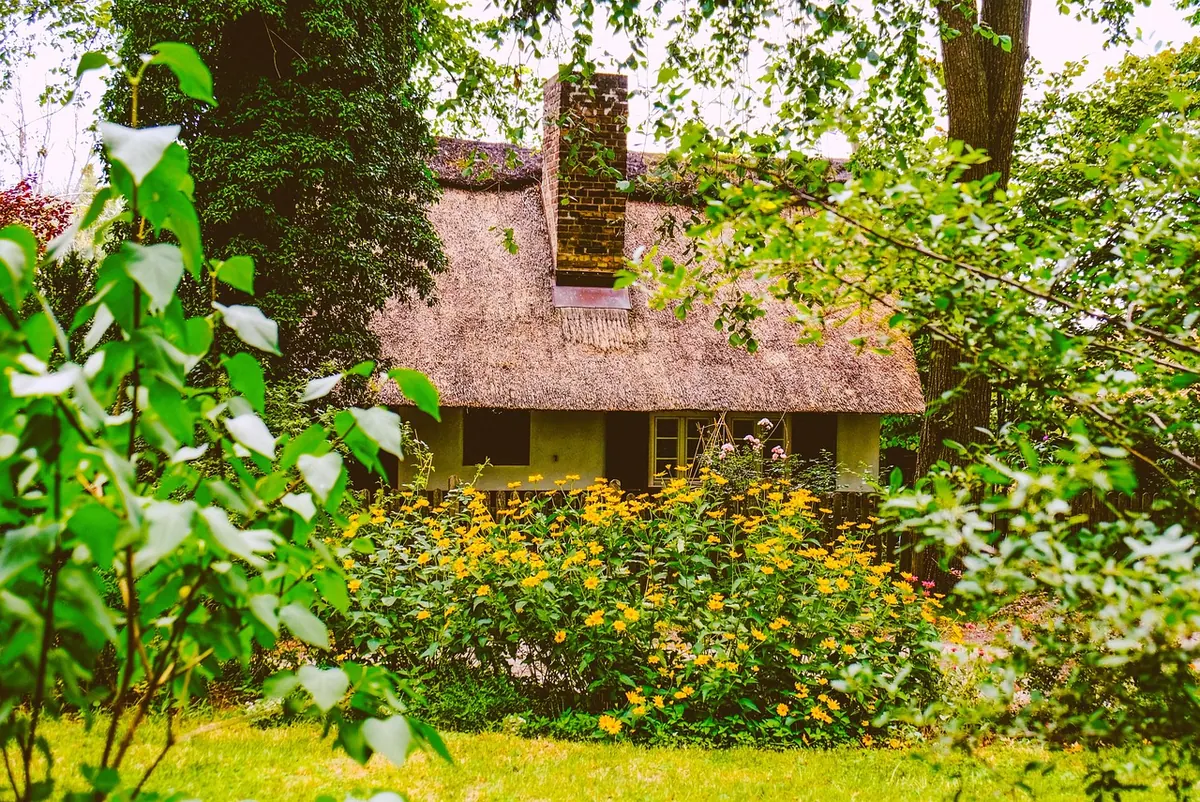 Garden Shed Security: 10 Practical Ways to Protect Your Tools and Bikes
