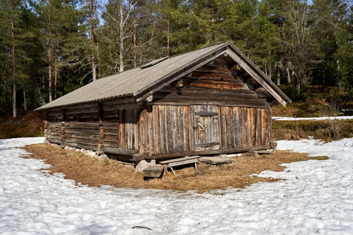Wooden Cabin Foundations Explained: Base Options, Costs and Common Mistakes